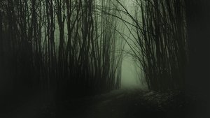 undefined Images